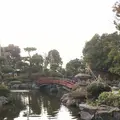 あわら温泉 美松の写真_322113