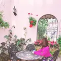 はままつフラワーパークの写真_322222