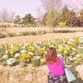 はままつフラワーパークの写真_322223
