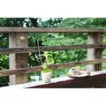 NARAYA CAFE（ナラヤカフェ）の写真_322243