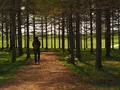 モエレ山の写真_322274