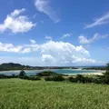 川平湾の写真_322313