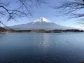 田貫湖の写真_322314