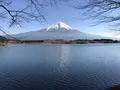 田貫湖の写真_322315