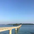 角島大橋 (つのしまおおはし)の写真_322325