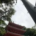 岐阜城の写真_322447