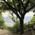 岐阜城の写真_322449