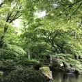 岐阜城の写真_322452