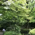 岐阜城の写真_322454