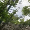 岐阜城の写真_322455