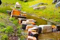 （財）滋賀県陶芸の森の写真_322975