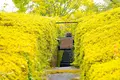 （財）滋賀県陶芸の森の写真_322977