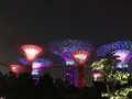 Merlionの写真_323192