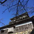 丸岡城の写真_323218