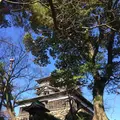 丸岡城の写真_323219