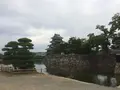 松本市立博物館の写真_323231