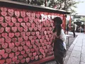 犬山城の写真_323251