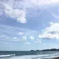 鴨川シーワールドの写真_323674