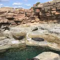 鴨川シーワールドの写真_323675
