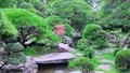 山本亭庭園の写真_323749