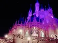 東京ディズニーランドの写真_323765