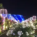 ハウステンボスの写真_323840