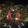 ハウステンボスの写真_323841