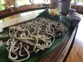 そば処石畳むらの写真_323995