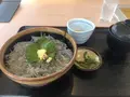 江の島の写真_324035