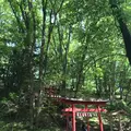羊山公園の写真_324347