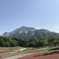 羊山公園の写真_324348