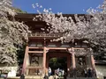 醍醐寺の写真_324487