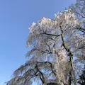 醍醐寺の写真_324490