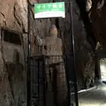 秋芳洞の写真_324844