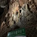 秋芳洞の写真_324845
