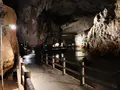 秋芳洞の写真_324848