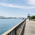 千光寺の写真_324897
