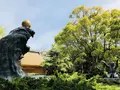 出雲大社の写真_324951