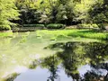出雲大社の写真_324955