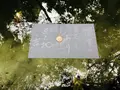八重垣神社の写真_324975