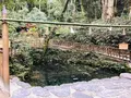 八重垣神社の写真_324979