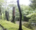 銀閣寺(東山慈照寺)の写真_325373