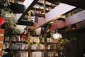 Cafe Bibliotic Helloの写真_325602