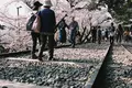 蹴上インクラインの写真_325617