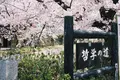 哲学の道の写真_325631