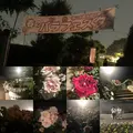 都市緑化植物園の写真_325815