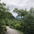 屋島神社の写真_326026