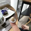 カフェ ミティークの写真_326064