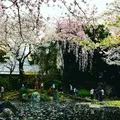 靖國神社の写真_326098