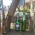 ジョンソンタウンの写真_326181